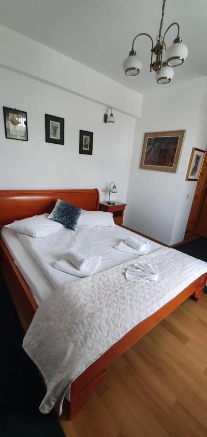 Pensiunea Alpin Predeal Exterior foto