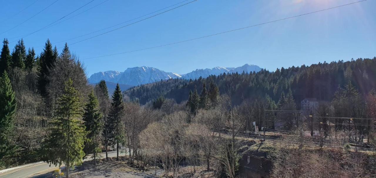 Pensiunea Alpin Predeal Exterior foto