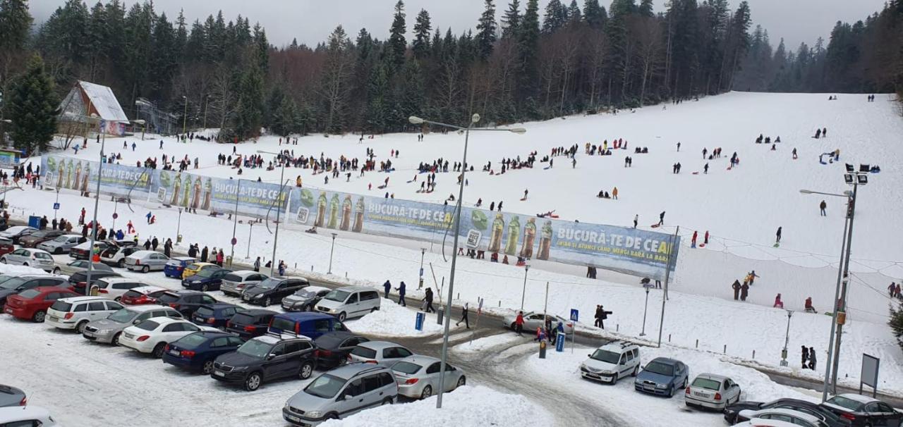 Pensiunea Alpin Predeal Exterior foto